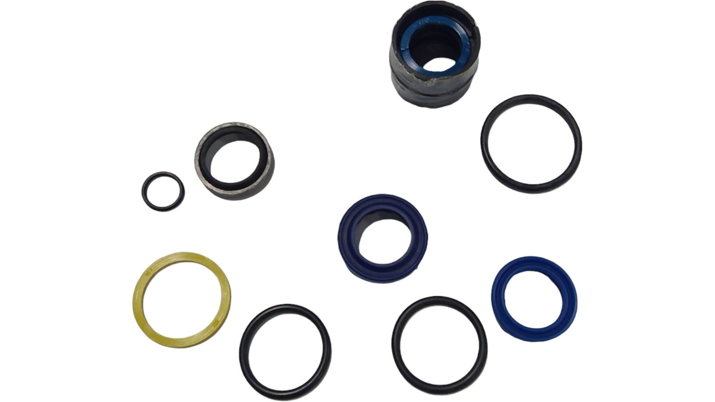 New OEM Genuine AGCO Seal Kit, Part # E231395