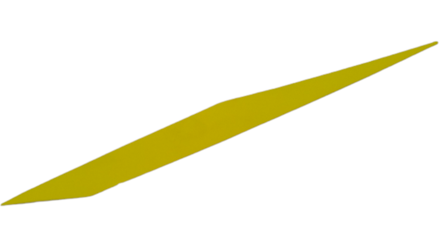 New OEM Genuine Bombardier Recreational Products, Rh Decal - Part # 219904533