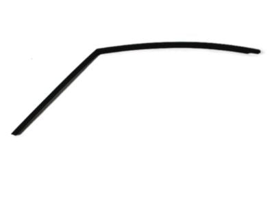 Retainer Door Glass Weatherstrip