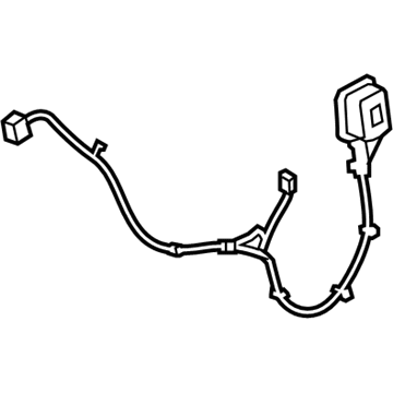 Harness