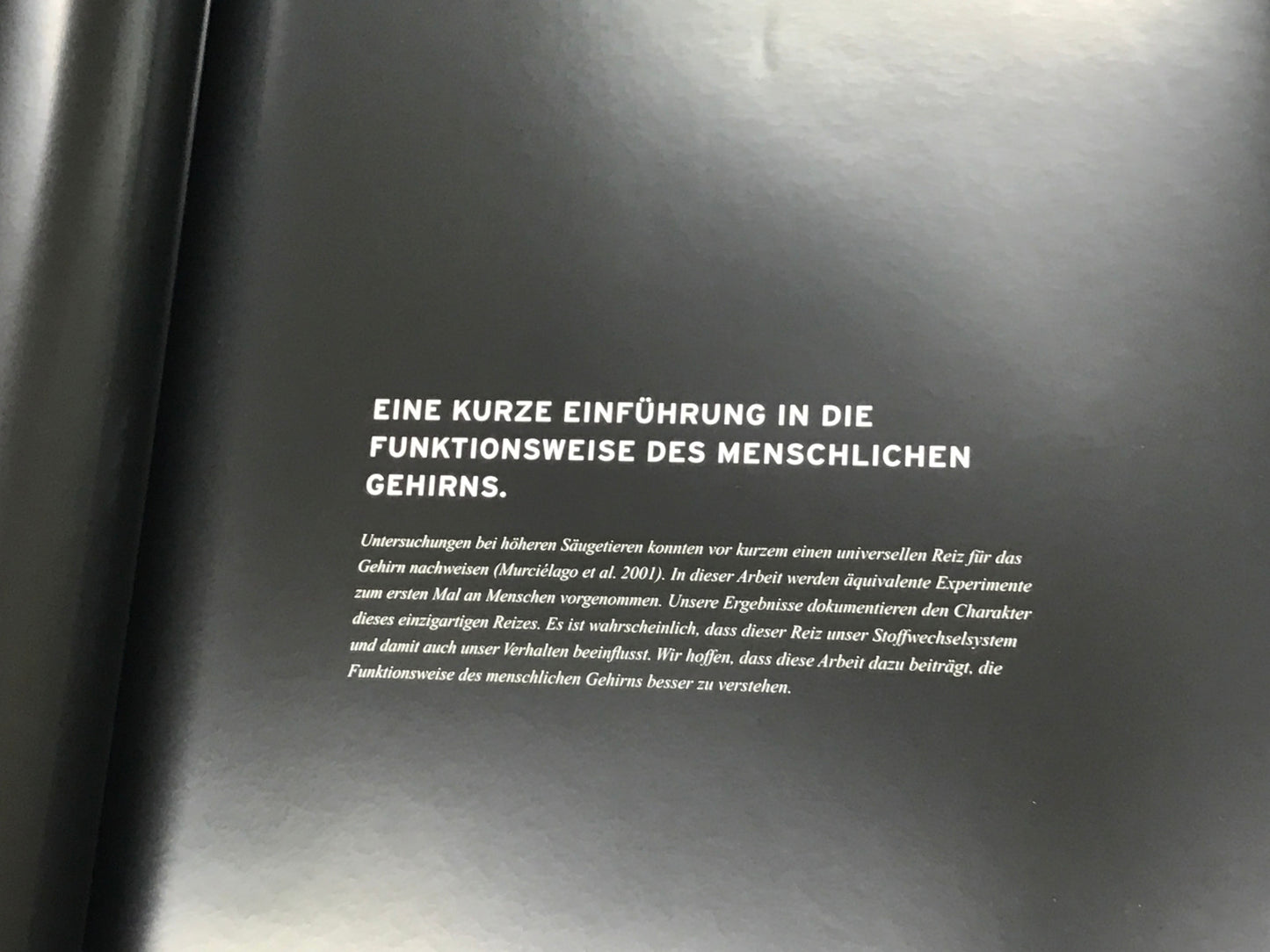 New OEM 2004 Lamborghini Gallardo VIP Hardback Book German