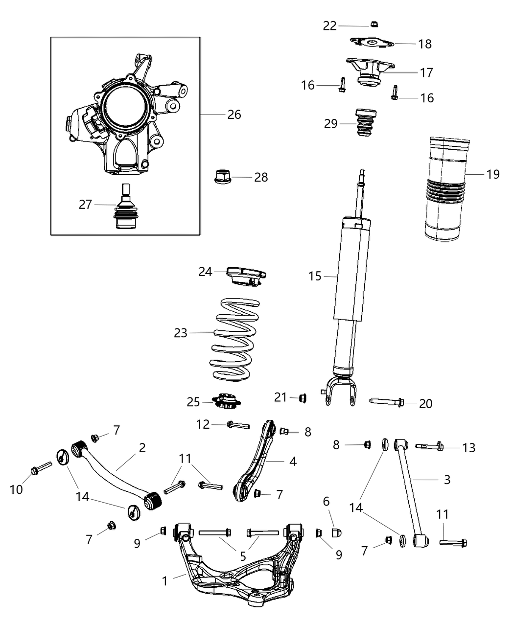Spring Rear Coil