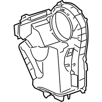 Case