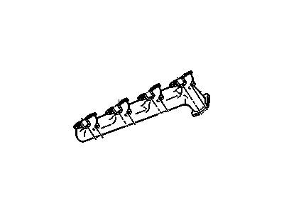 Manifold