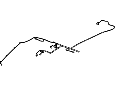Harness