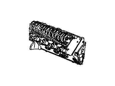 Head