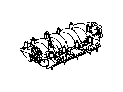 Manifold