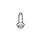 Rear Shield Bolt