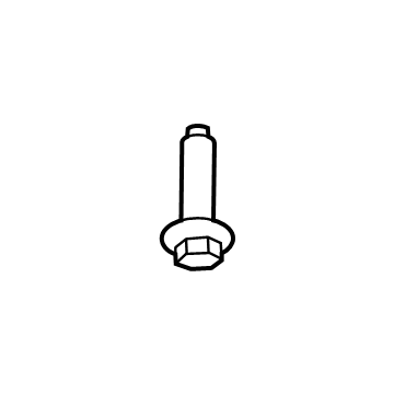 Rear Shield Bolt