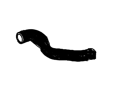 Hose - Radiator