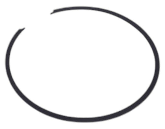 New OEM Genuine AGCO Ring, Part # 1754409M1