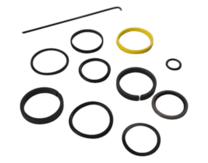 New OEM Genuine AGCO Seal Kit, Part # 529186