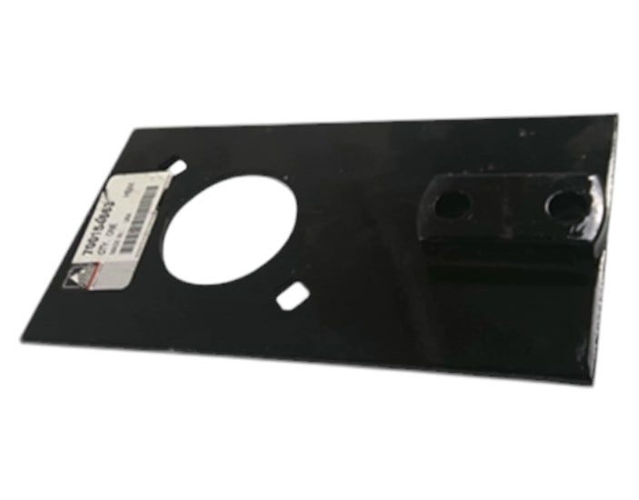 New OEM Genuine AGCO Plate, Part # 700154663