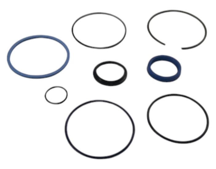 New OEM Genuine AGCO Seals Kit, Part # 700719999