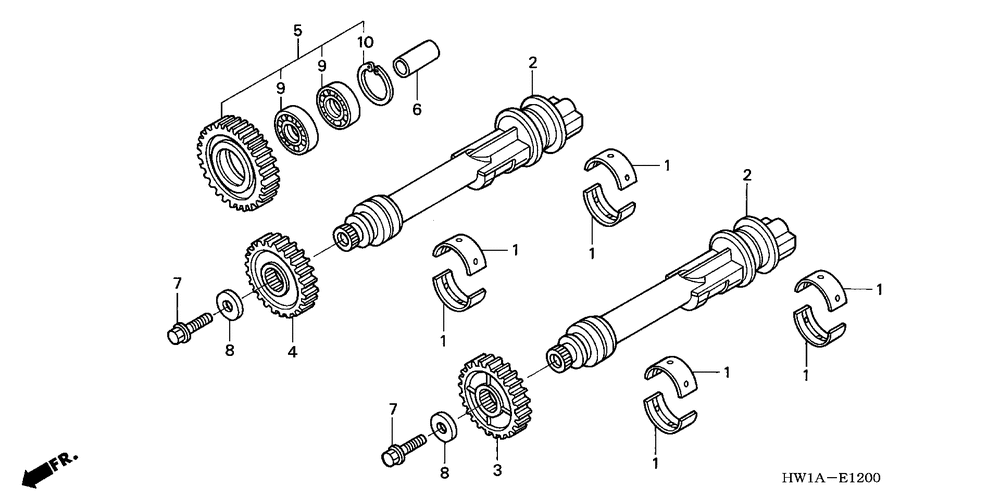 Gear, L. (30T)