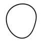 New OEM Genuine CNHi, Seal Ring - Part # 84305304