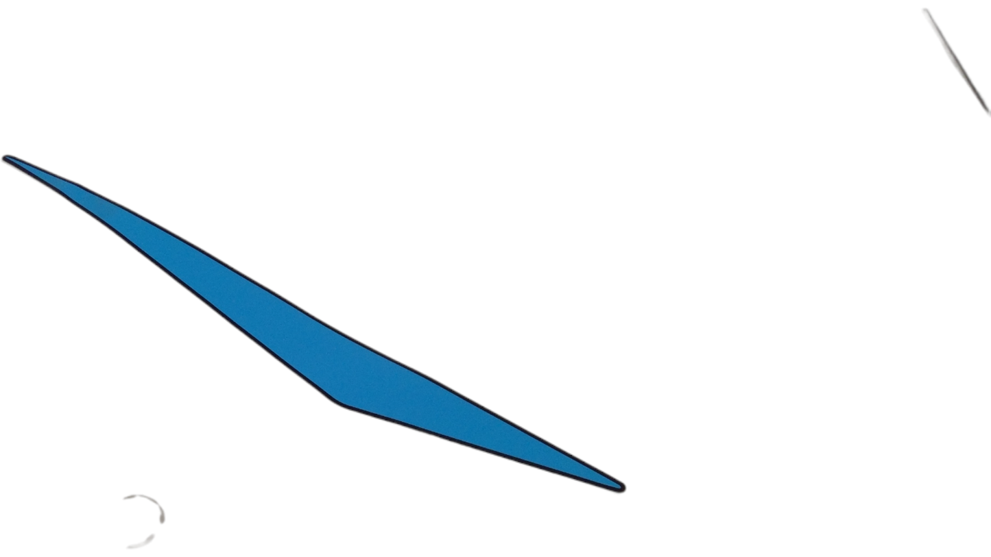 New OEM Genuine Bombardier Recreational Products, Rear Decal Lateral Left - Part # 219904777