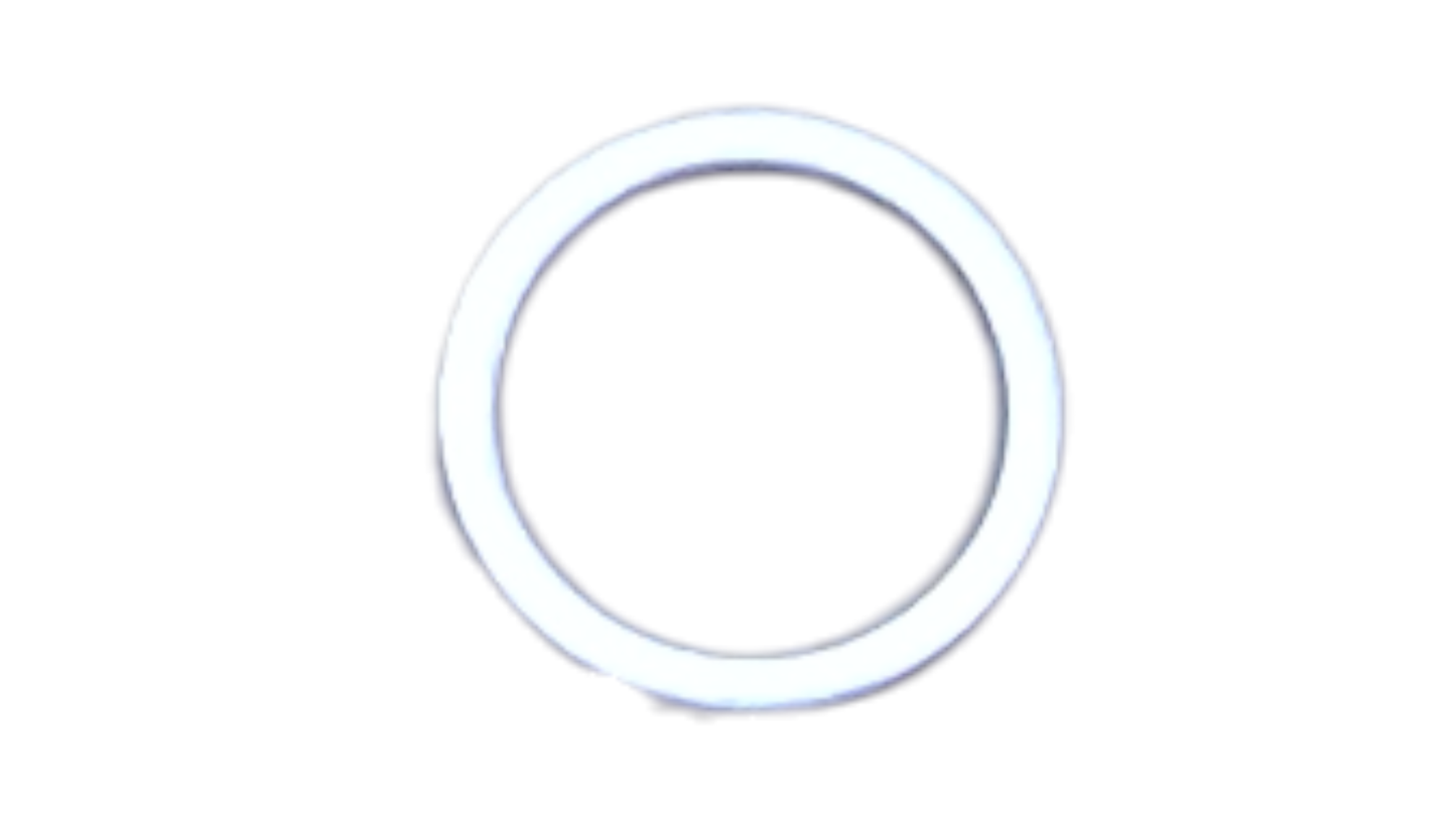 New OEM Genuine Bombardier Recreational Products, O-Ring - Part # 420230380