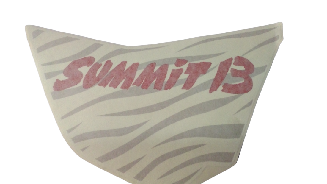 New OEM Genuine Bombardier Recreational Products, Decal Lh - Part # 516007325