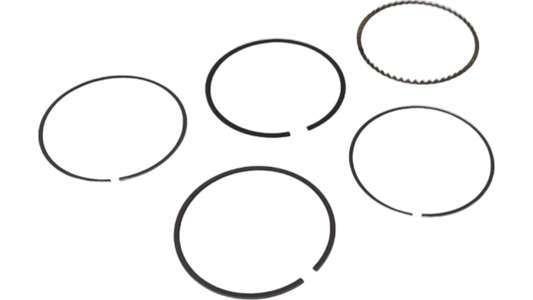New OEM Genuine Bombardier Recreational Products, Piston Ring Set - Part # A13011175000