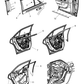 Molding Door Window Opening