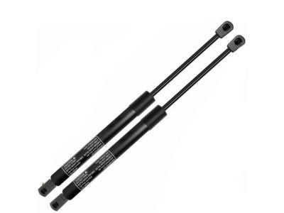 Lift Assy - Gas