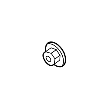 Lower Bracket Nut