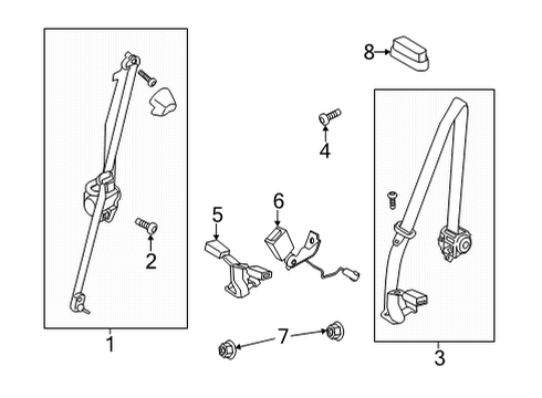 Seat Belt Assembly