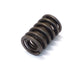 New OEM GM High Lift Cam Spring & Damper Assembly Valve, Part # 366282