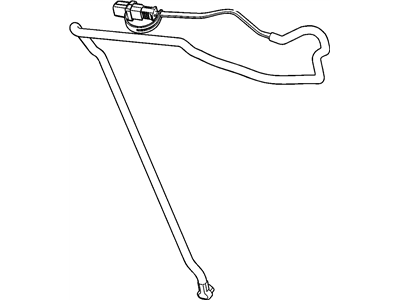 Cord