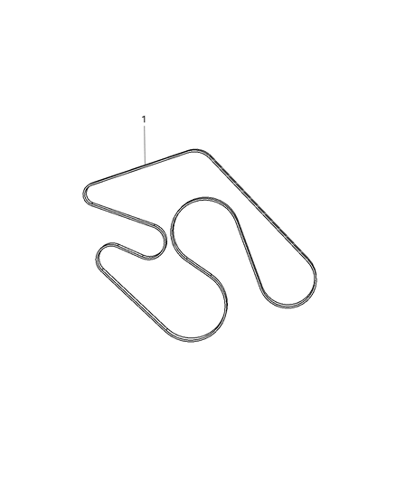Belt Serpentine