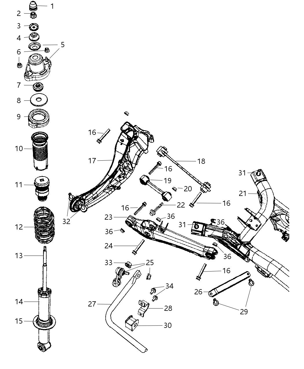Spring Suspension Rear