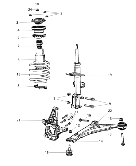 Spring Coil