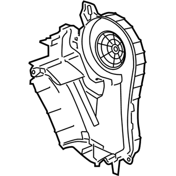 Case