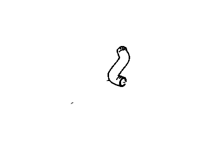 Hose, Radiator Outlet (Lower)