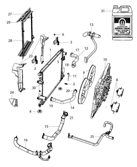 Hose Radiator Outlet