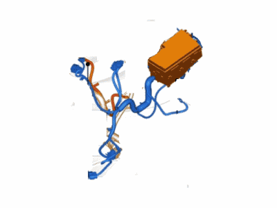 Wire Assy