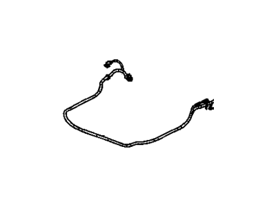 Harness