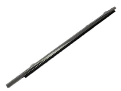 Weatherstrip Front Door Belt Outer