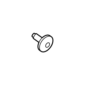 Latch Assembly Bolt