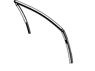 Weatherstrip Front Door Glass