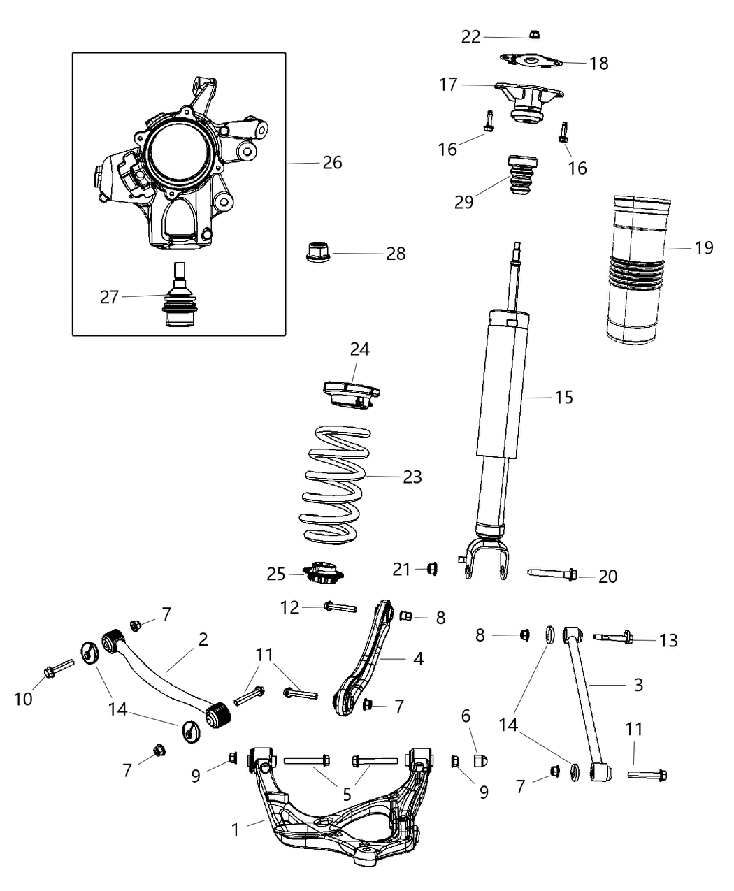 Spring Rear Coil