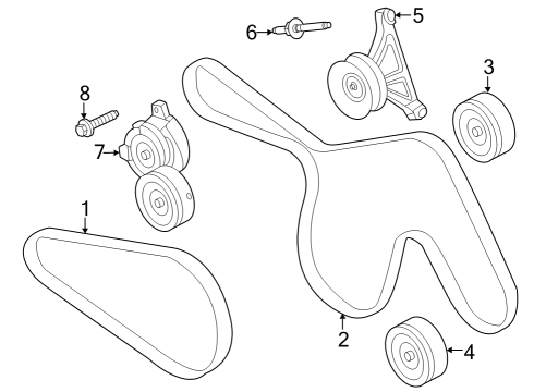 Serpentine Belt