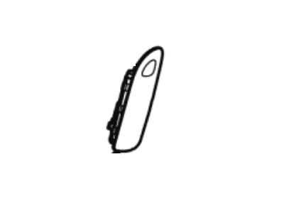Module - Air Bag
