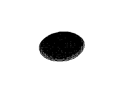 Grille, Radio Auxiliary Speakers
