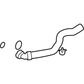 Lower Hose