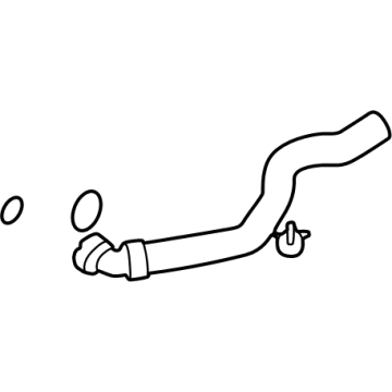 Lower Hose