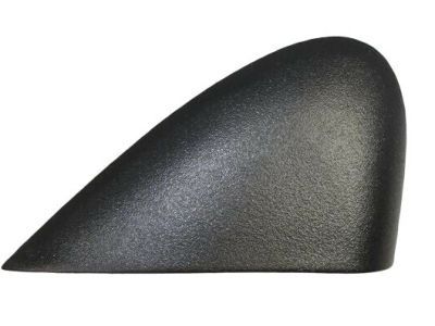 Applique Fender