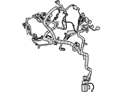 Wiring Assy - Main
