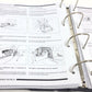 New OEM 1993-1994 Lamborghini Diablo VT Workshop Repair & Illustrations Catalogue